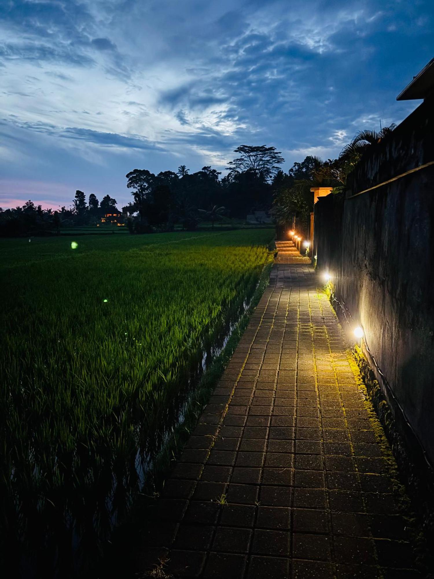 Uma Padi Ubud