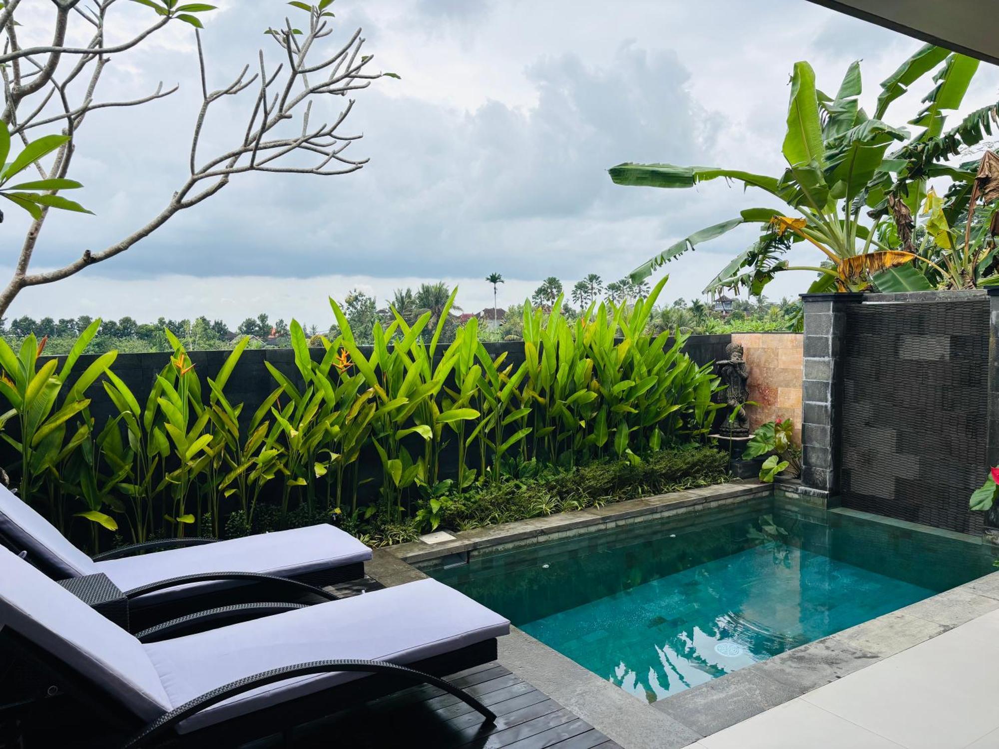 Uma Padi Villa Ubud (Bali)